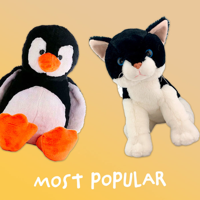 Most Popular