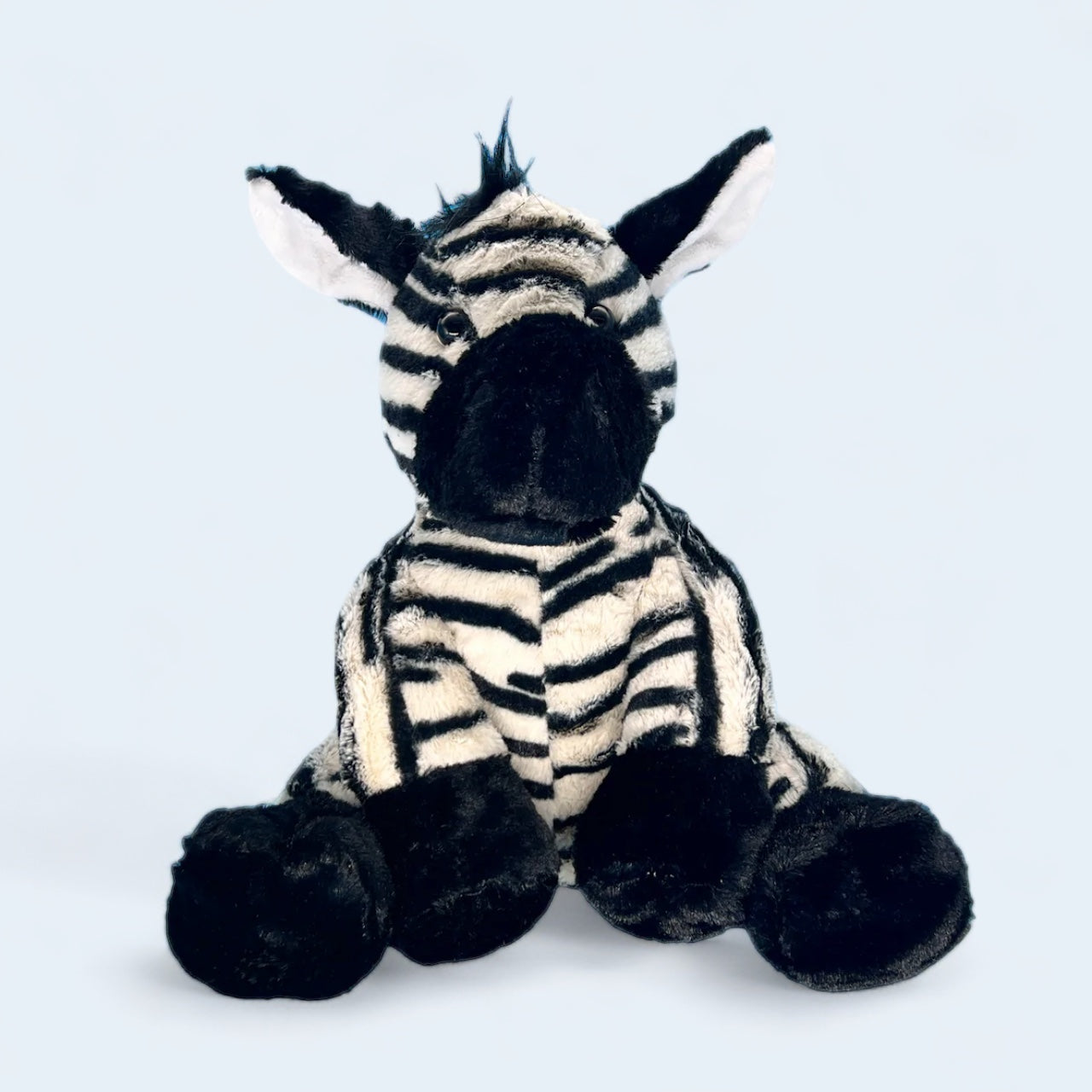 Zippy the Zebra