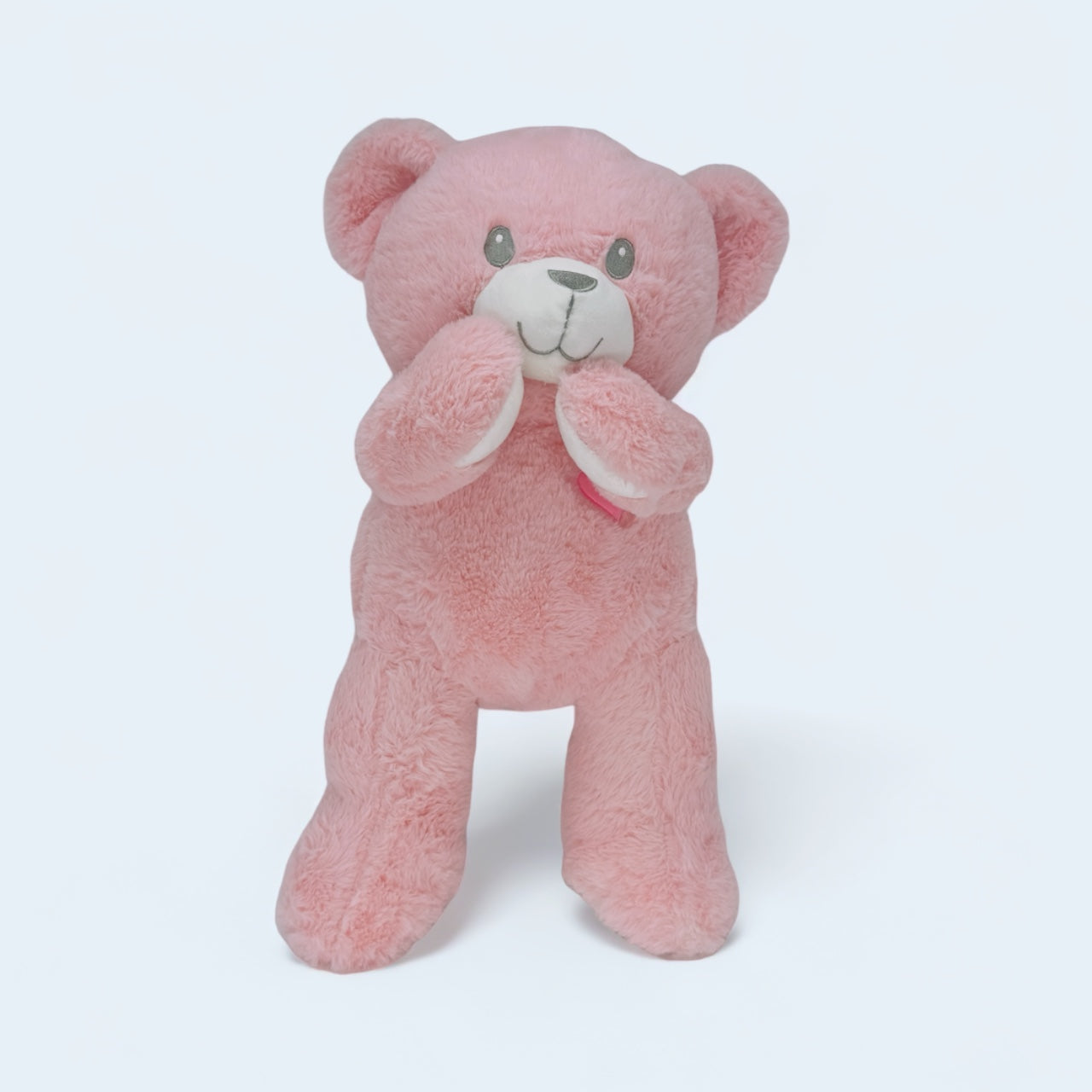 Baby Pink Bear