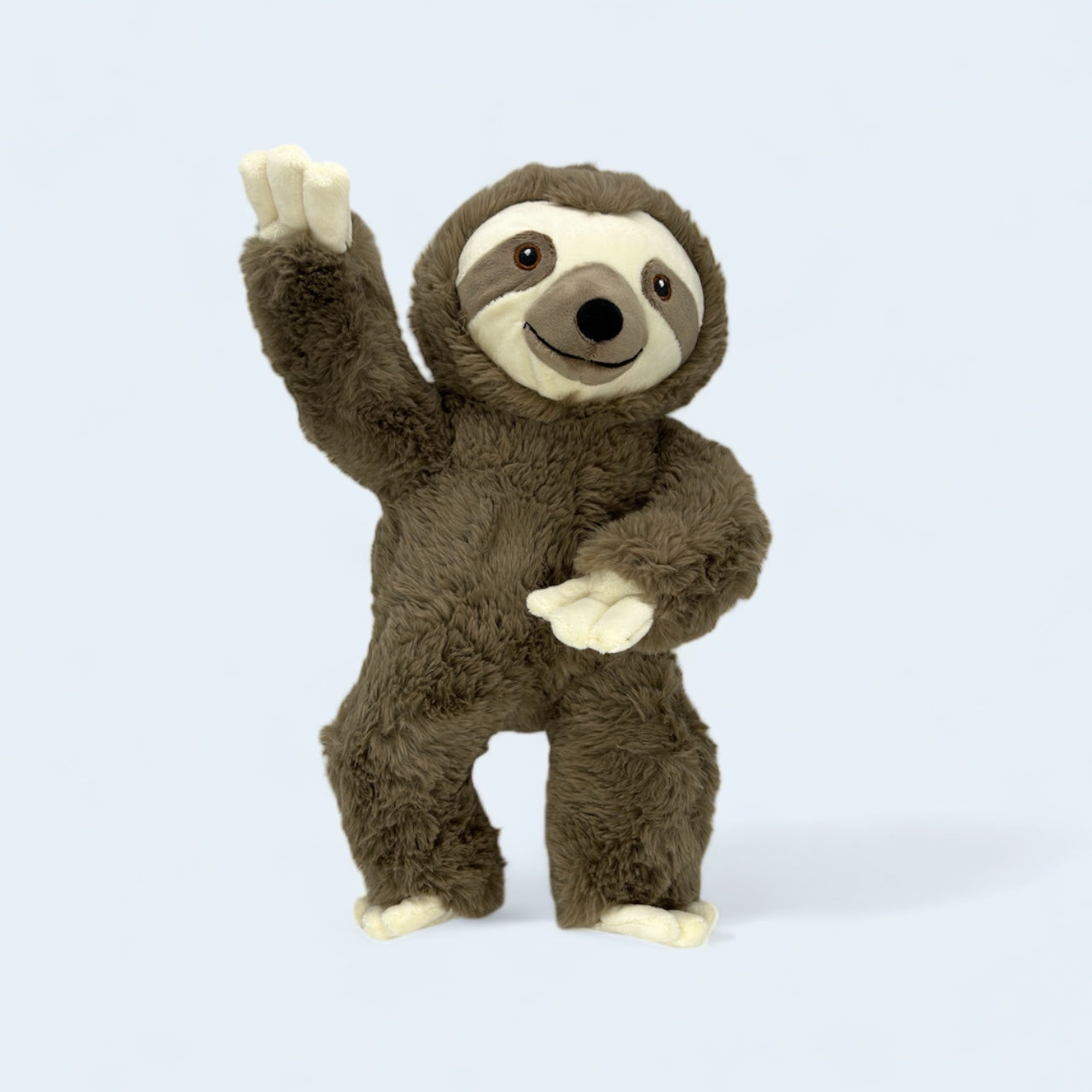 Spencer the Baby Sloth