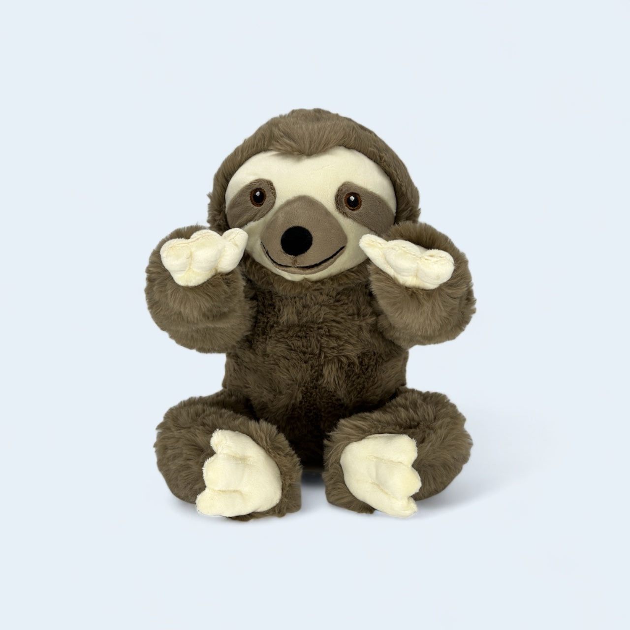 Spencer the Baby Sloth