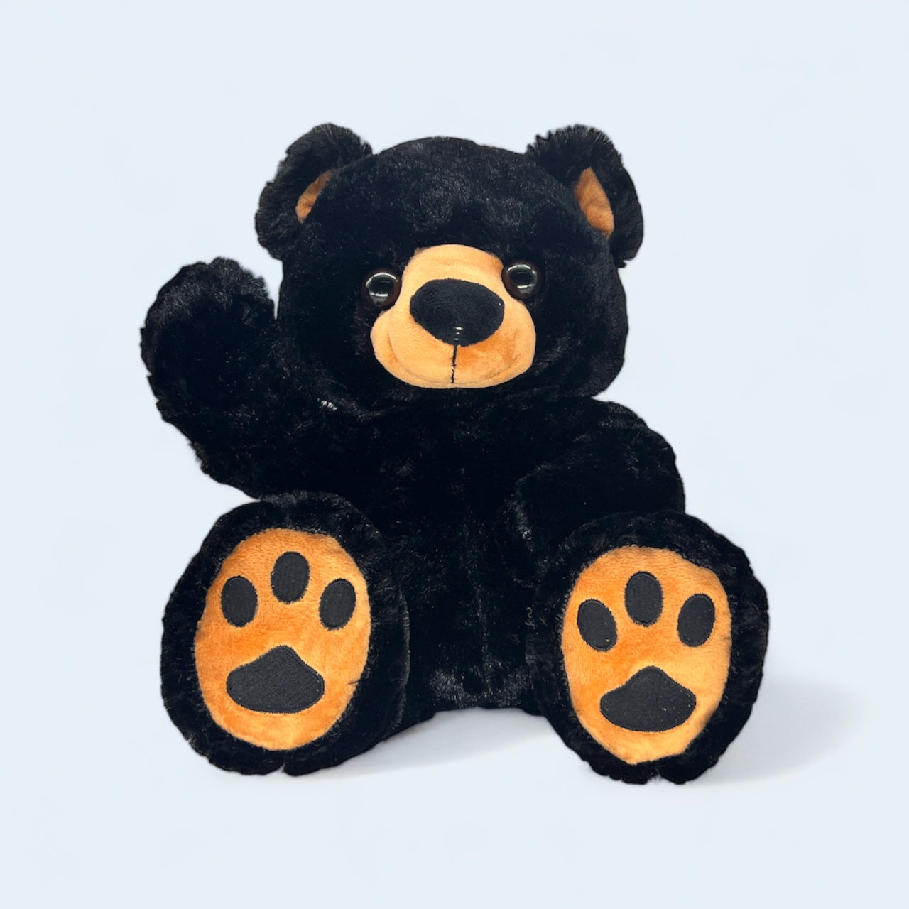 Benjamin Black Bear