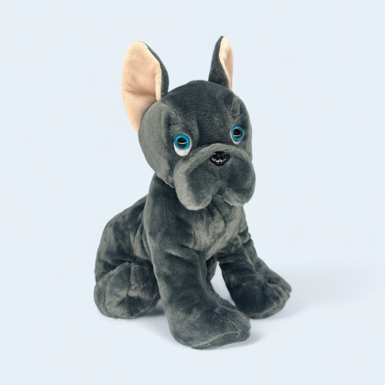 Frankie the Frenchie