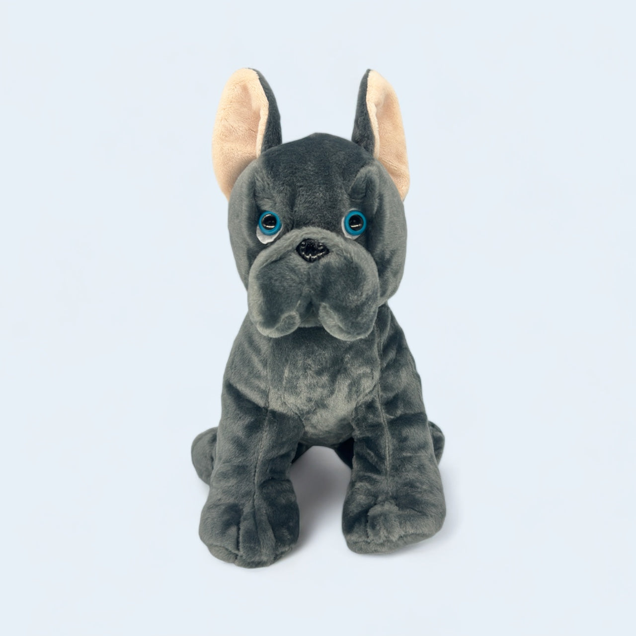 Frankie the Frenchie