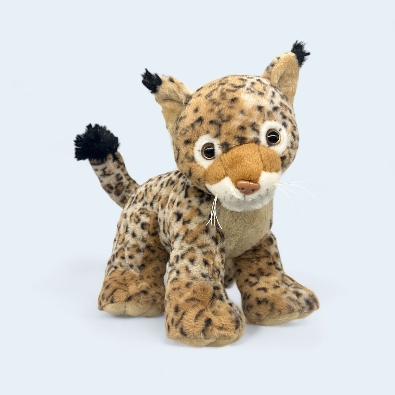 Bob the Big Cat