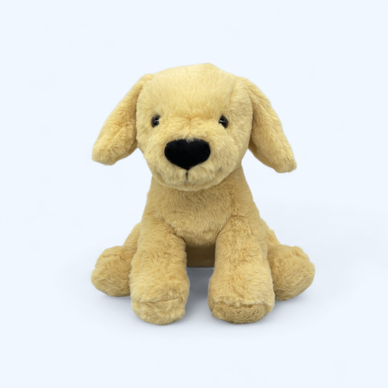 Blondie the Labrador