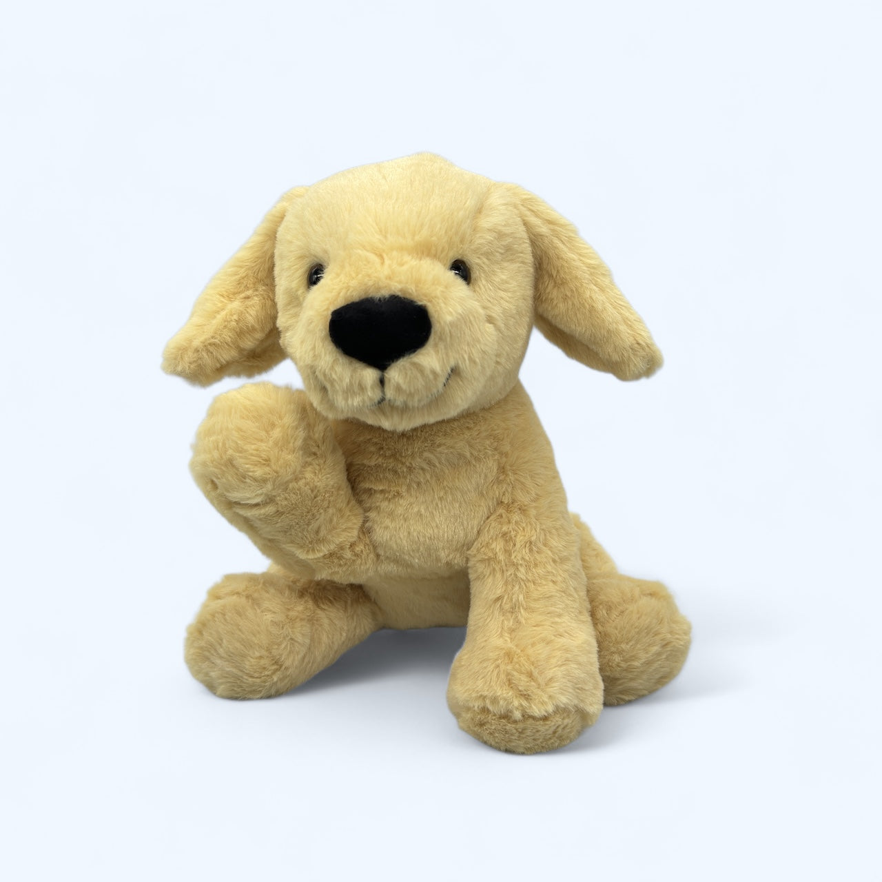 Blondie the Labrador