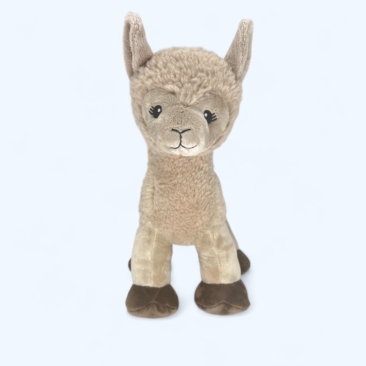 Dolly the Llama
