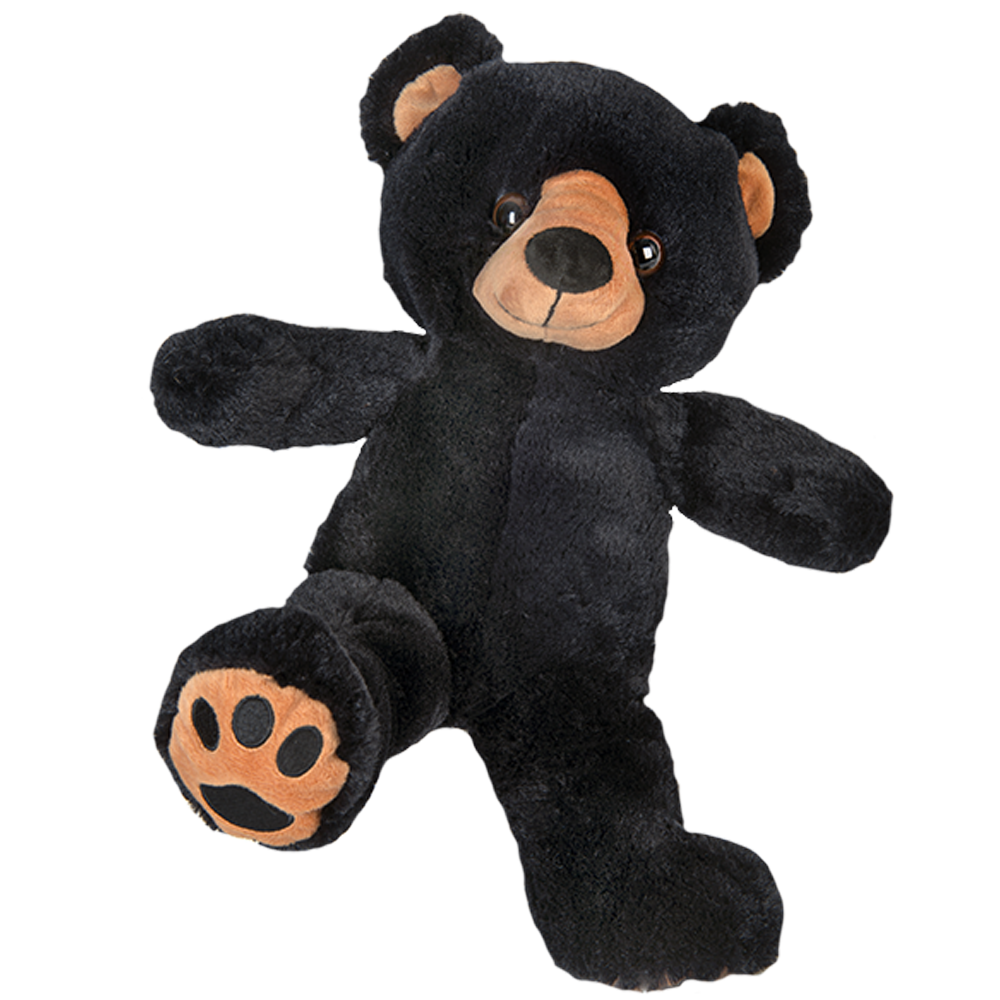 Benjamin Black Bear