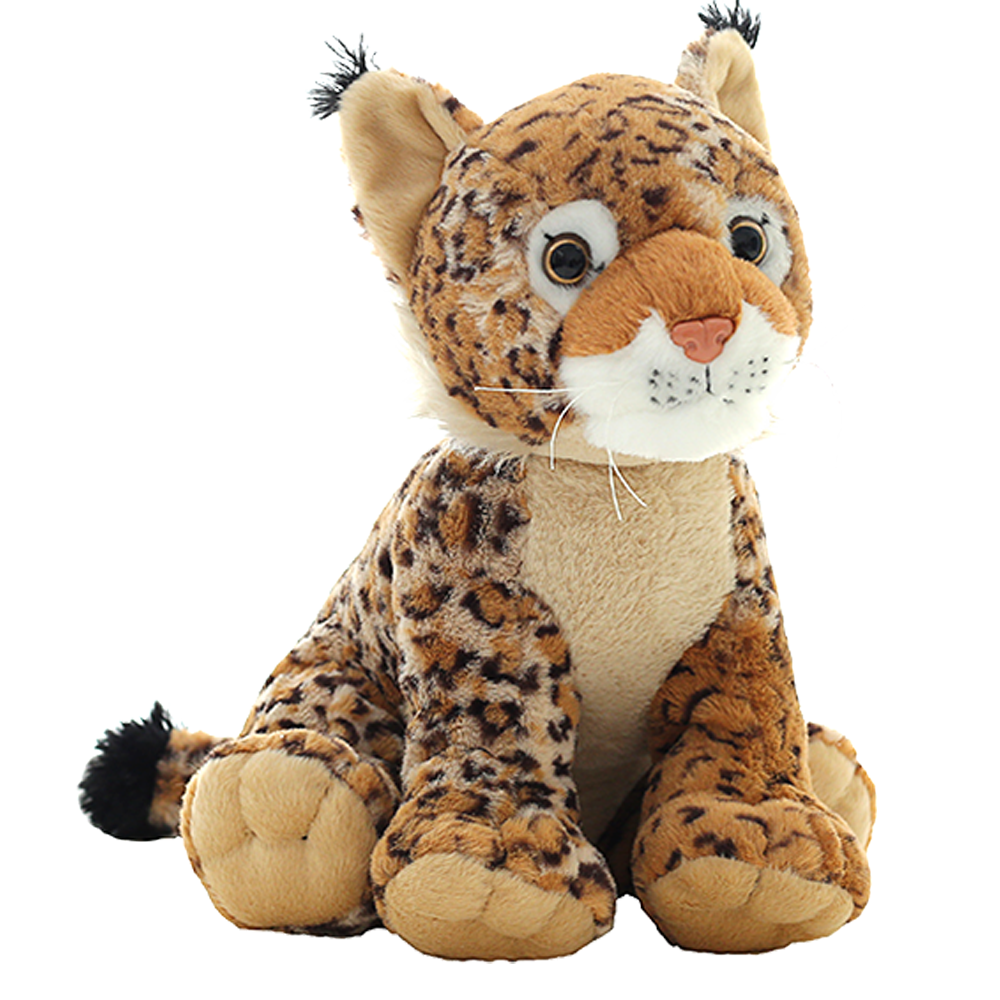 Bob the Big Cat