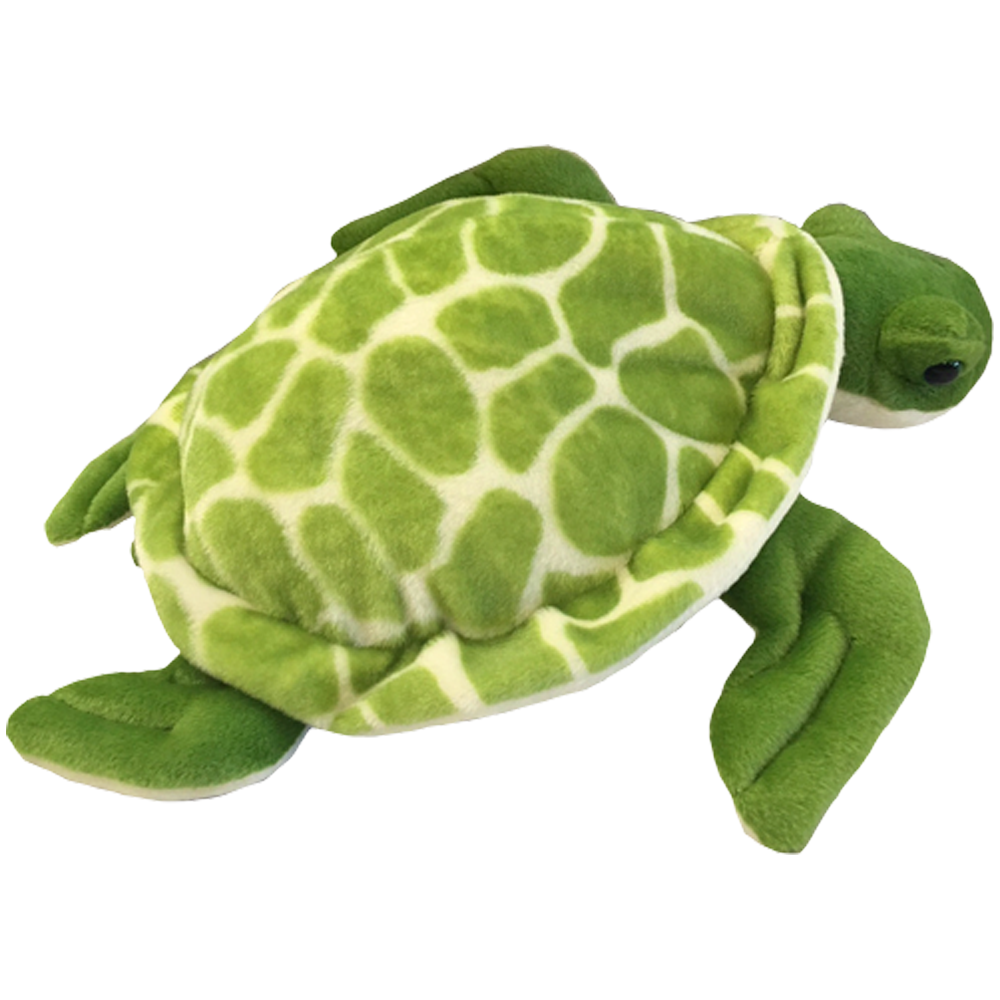 Shelldon the Sea Turtle