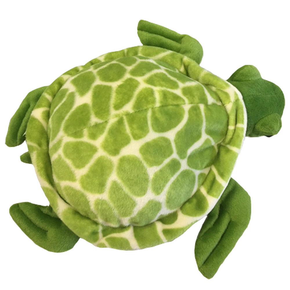 Shelldon the Sea Turtle