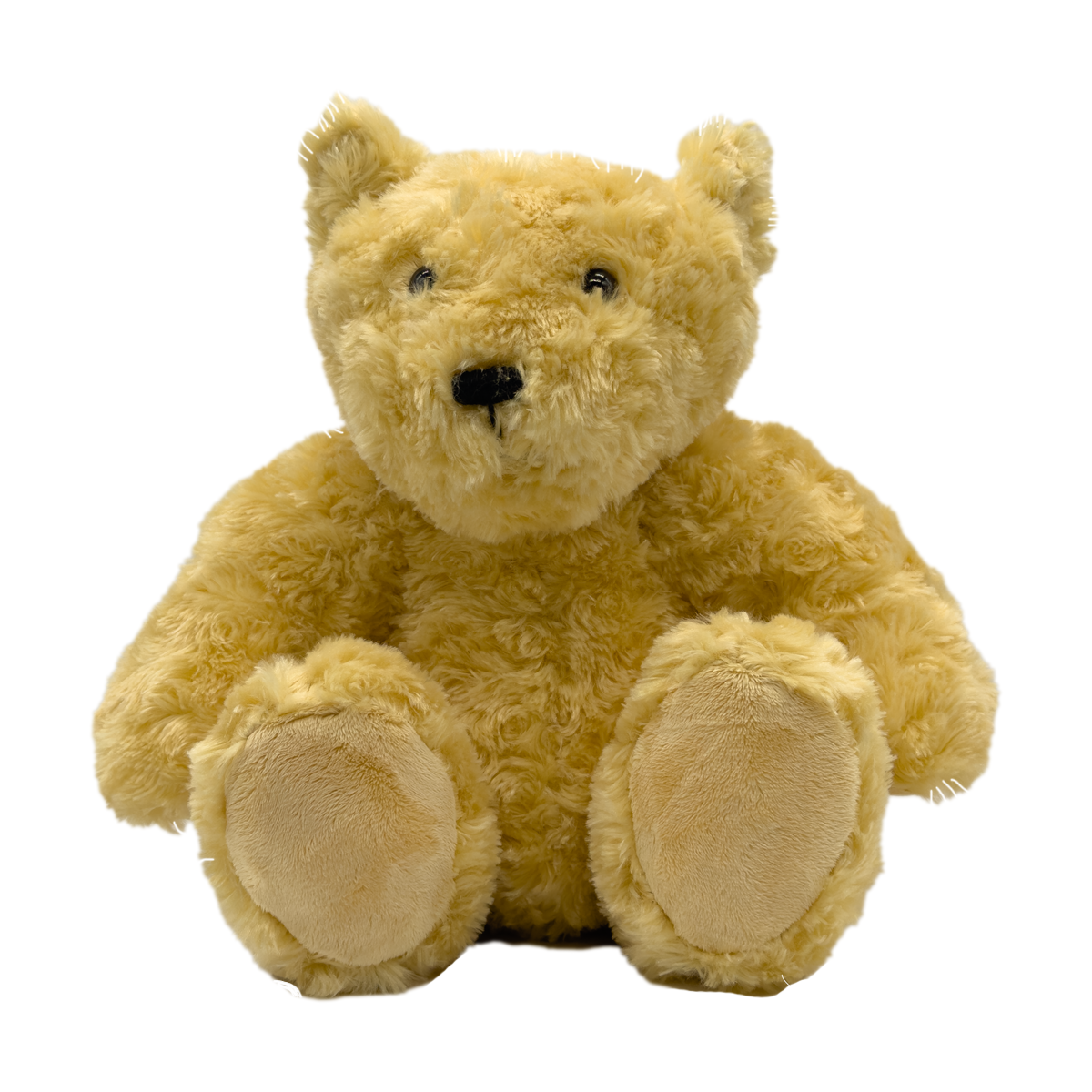 Theodore teddy bear hotsell