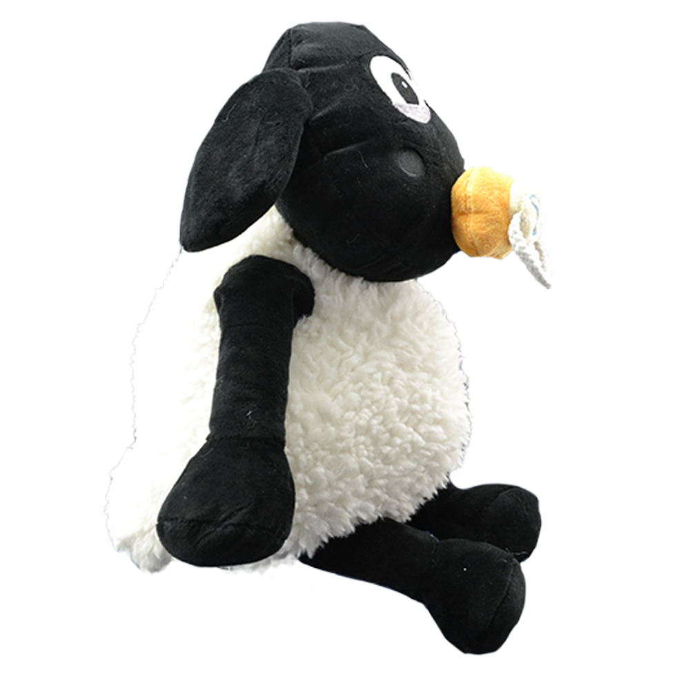 Timmy the Baby Sheep