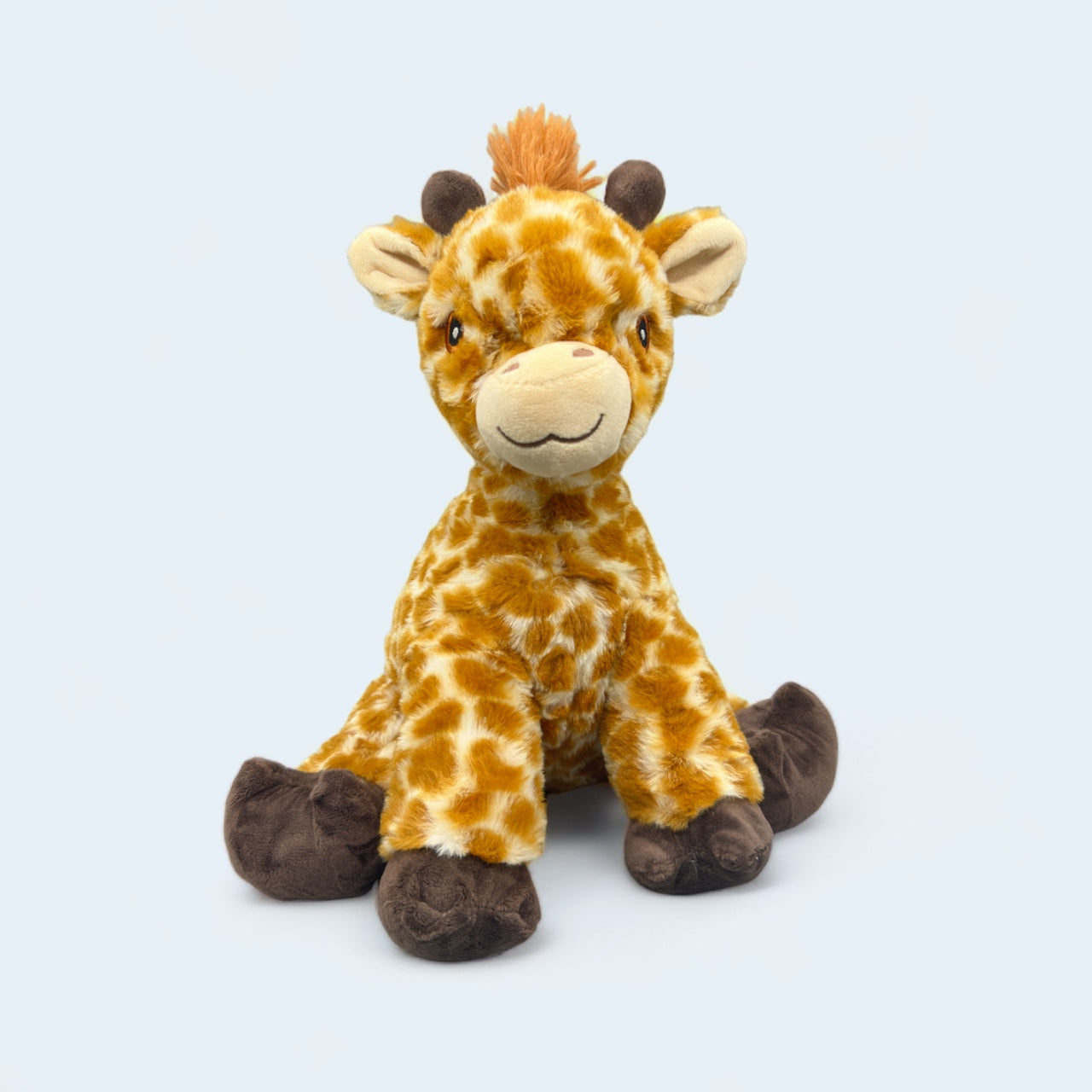 Jojo the Baby Giraffe