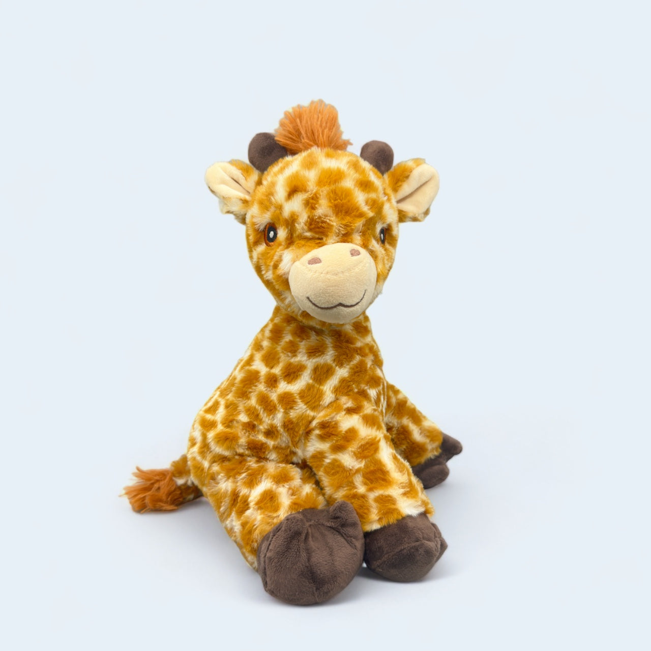 Jojo the Baby Giraffe