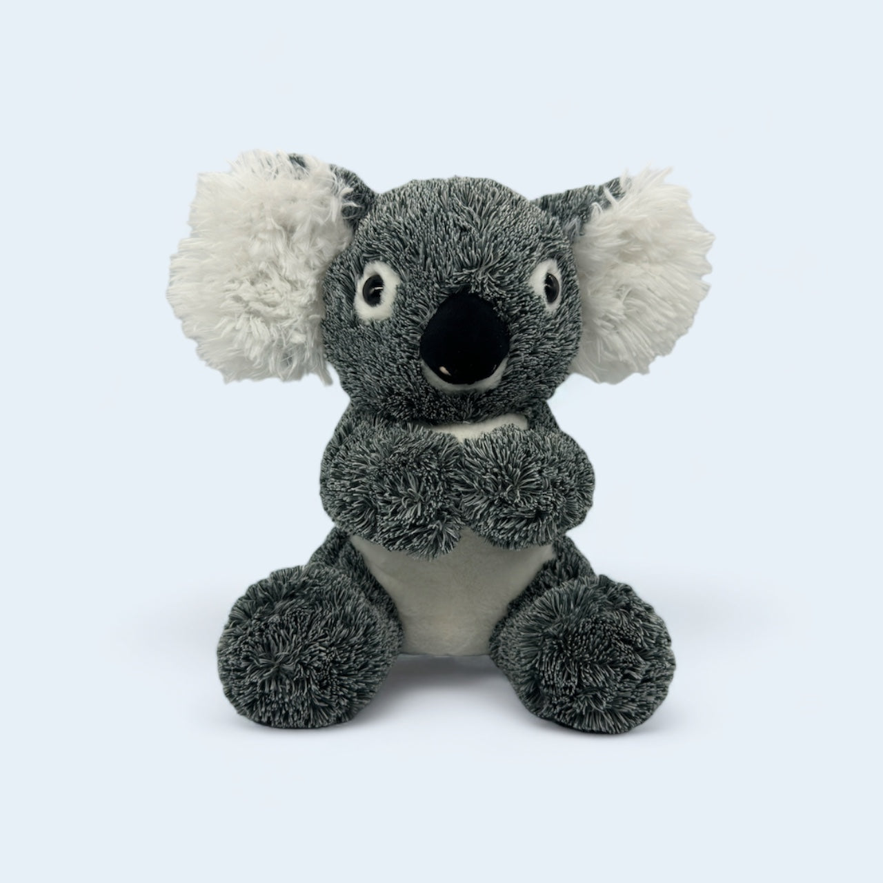 Koki Koala
