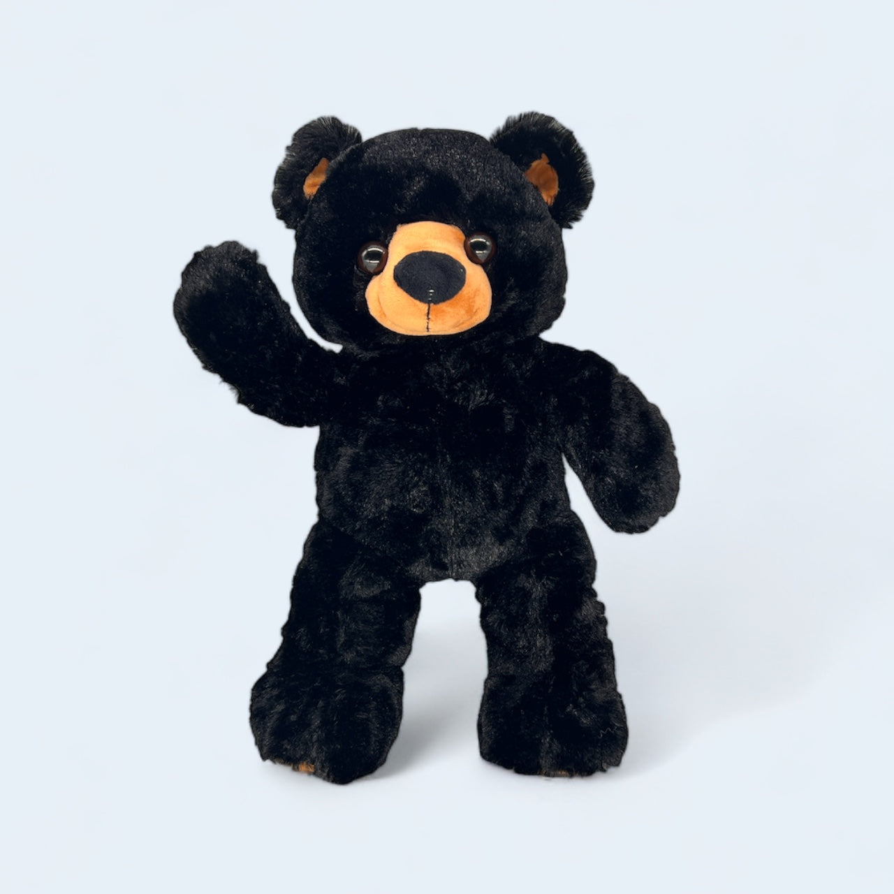Benjamin Black Bear