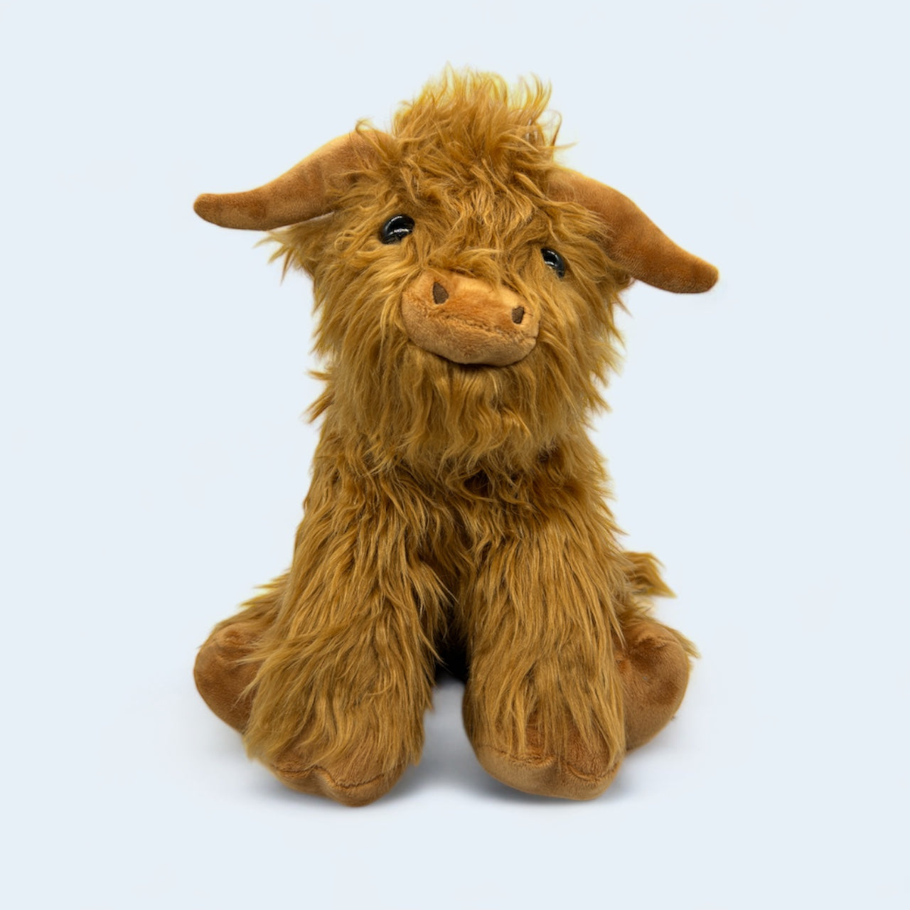 Hugo the Highland Cow