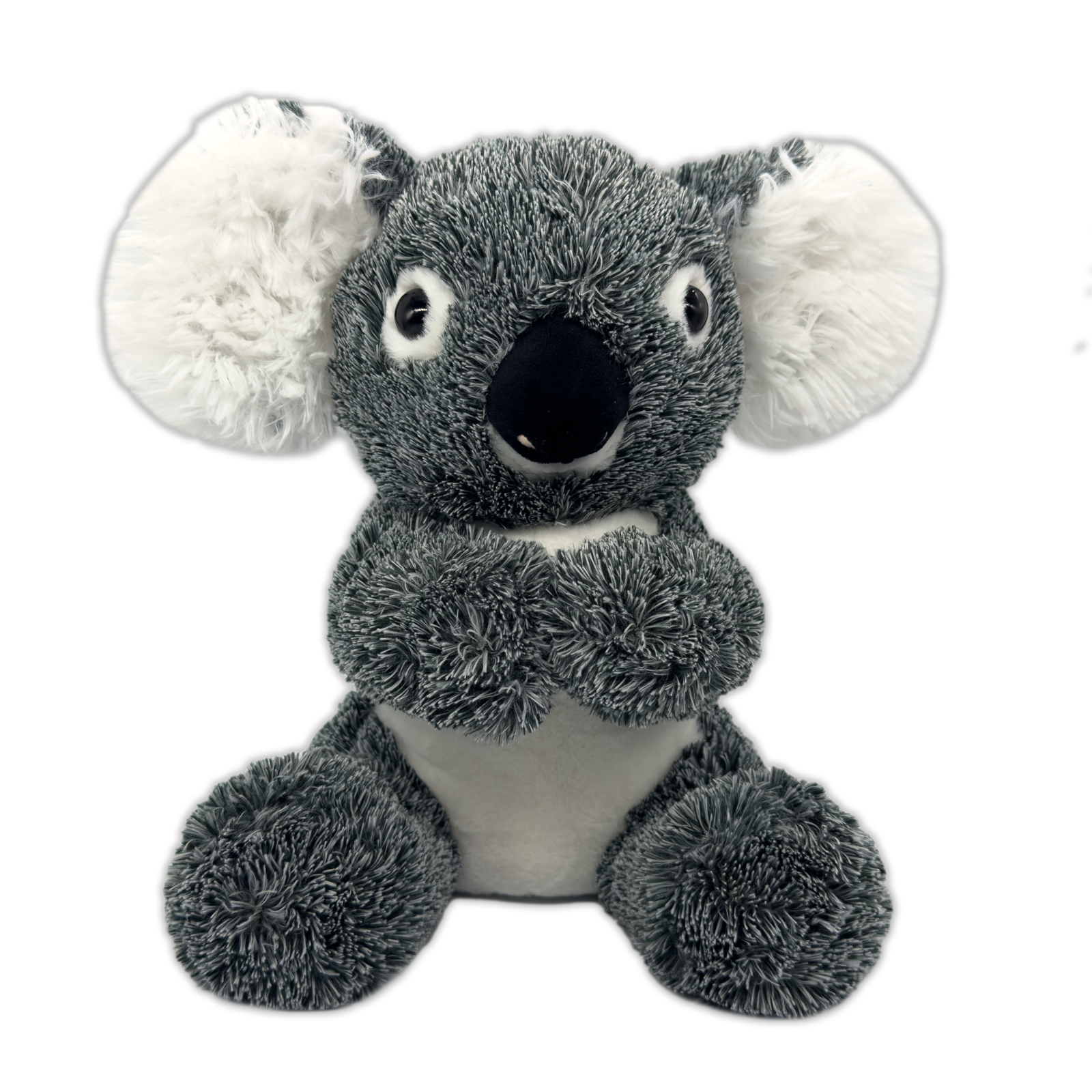 Koki Koala