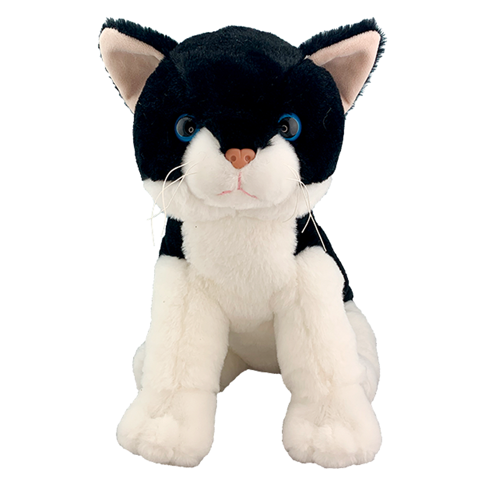 Salt N Pepper Cat